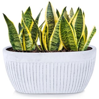 Grupa Orion Sp. z o.o. Doniczka ceramiczna biała 26x13 cm