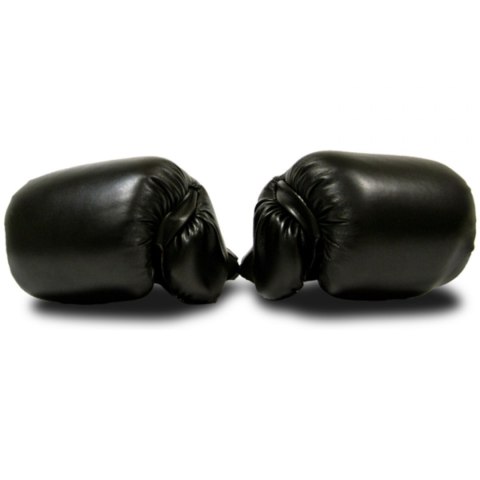 MASTER SPORT s.r.o. Rękawice Bokserskie MASTER 10 Oz