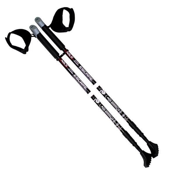Wiosenny marsz – Nordic Walking